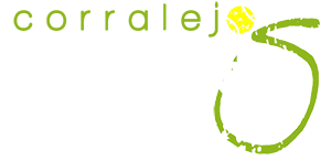 Corralejo Tennis Academy | Fuerteventura, Canary Islands
